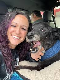 What is normal after tie-back procedure for laryngeal paralysis?