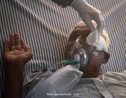 May 14, 2021 · schwarzer pilz mukormykose: Schwarzer Pilz Verursacht Diabetes In Indien Hohe Fallzahlen