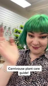 Guía de cuidado de plantas carnívoras