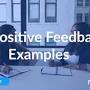 Positive feedback examples from nailted.com