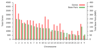 chromosome wikipedia