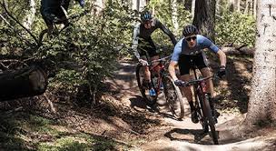 Mountain bikes share some similarities with other bicycles, but incorporate features designed to enhance durability and performance in rough terrain, this makes them heavy. Mountain Bike The Right Hardtail Mtb For Your Needs Focus Bikes