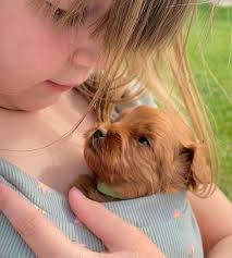 Jacquie of All Trades