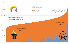 Optimal Ketone And Blood Sugar Levels For Ketosis Marty