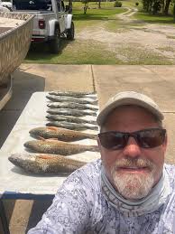 Where to buy live little piglets