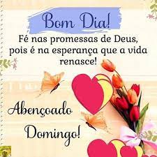 Check spelling or type a new query. 37 Mensagens De Bom Dia Domingo Feliz E Abencoado Com Lindas Gifs