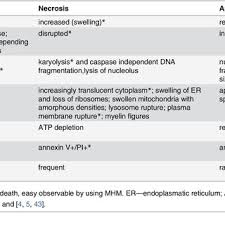 Necrosis was graded (0, +1 to +3) as the surface area of the tumor showing black color, and the numbers in the table represent the number of animals with particular necrosis score at day 60. Characteristic Features Of Apoptosis Oncosis And Necrosis Download Table