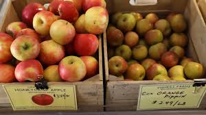 Come out and browse thru the selection of fresh picked apples in our inside sales barn. The Curse Of The Honeycrisp Apple Bloomberg