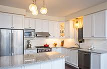 how to get rid of kitchen bugs