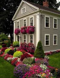 The hybrids are resistant to. 20 Ways To Improve Curb Appeal Dogwood Landscaping