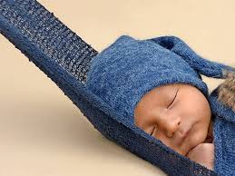 Greifswald: Das sind die neuen Babys der Region