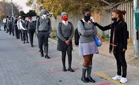 Ms van damme majored in political science and law at rhodes university. Savanna News News In South Africa Africa World Savannah News Savanna News South Africa Savanna News Zimbabwe Savanna News Africa