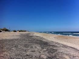 Pea Island Rodanthe Nc Picture Of Pea Island National