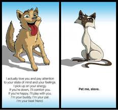 The film was directed by lawrence guterman with screenplay by john requa and glenn ficarra, and stars jeff goldblum. Cat Vs Dog Funny