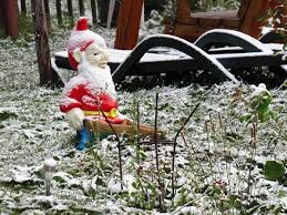 Dintre cele 3 sisteme de fixare a focilor pe schiuri, cel mai bun pentru ce facem noi e cu carlige si la varf si la coada. Foto Video Ninge La Cluj ZÄƒpadÄƒ La BÄƒiÈ™oara È™i ArieÈ™eni