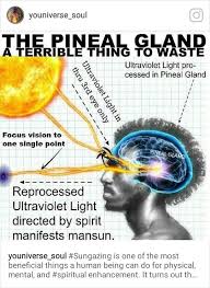 Bible Studies Ourpeopleneedyou Begreatitsagreatlife Freelarryhoover Bulliednogoddamnedmore Arisedarknation Letsgo 13 Pineal Gland Gland Third Eye
