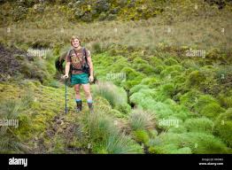 Image result for Carex runssoroensis