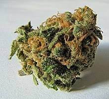 Cannabis In New Zealand Wikipedia