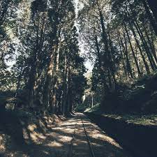 場景越來越多團拍攝影棚 country roads road country