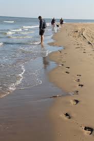 A więc niderlandy, czyli dosłownie — niski kraj! Haga Kurort Plazowy Scheveningen