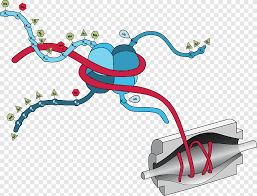 The large number of known ptms highlights the many ways that cells can modify their proteins to respond to diverse stimuli. Histone Epigenetics Research Post Translational Modification Chromatin Sequence Acetylation Png Pngegg