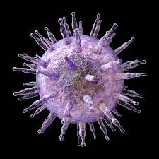However, the virus generally remains latent—that is, it lingers inside of cells without actively replicating—for the lifetime of the host and rarely causes disease beyond the initial. Epstein Barr Virus Ebv Naturheilzentrum Breidenbach