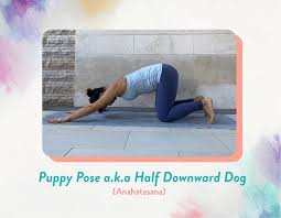 Cobra pose is very effective in weight loss as well as helping the new moms in dealing with the back pain they experience post delivery. 7 Safe Prenatal Yoga Poses For The First Trimester