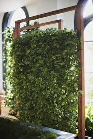 Balkon Seitensichtschutz Verstecken Sie Sich Mit Stil Balkon Seitensichtschutz Balkon Pflanzen Gartenturen