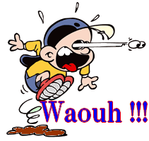 Le cahier des grandes vacances - CP d'ORIENT