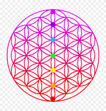 Pin By Tatiana Mishimagi On Sacred Geometry In 2020 Flower Of Life Flower Symbol Flowers