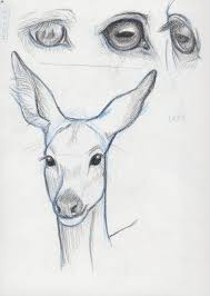 Horse Eyes Deer Face Study By Noirsan Deer Drawing Animal Sketches Animal Drawings