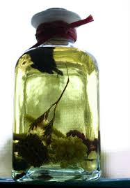 Homemade Mosquito Yard Spray Is Cheap Effective And Easy To Do
