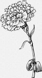 Flower Drawing Drawing Of A Marigold Transparent Png 324x599 2793457 Png Image Pngjoy Rooted in its historical use, marigolds represent grief as well as cruelty and jealousy. flower drawing drawing of a marigold