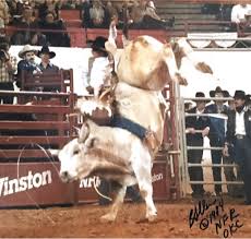 You can also explore and follow video collections from other users with myvidster. Top 10 The Greatest Bull Riders In Canadian History Everythingcowboy Com