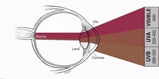 Ultraviyole Radyasyonu Nedir Uv Radyasyonu Zararlari Ozgur Optik