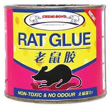 Jangan sampai ada sedikit ruang kerana tikus boleh melepasi ruang sempit itu. Fire Sales Chemi Bond Rat Glue Gam Tikus 110ml 220ml Shopee Malaysia