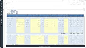 For example, you could use the allocation template to allocate administrative. Payroll Budget Template Example Uses