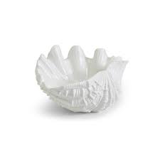 Check spelling or type a new query. Large Clam Shell