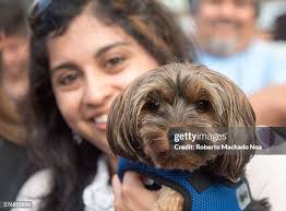 62 Saint Clair Avenue Stock Photos, High-Res Pictures, and Images