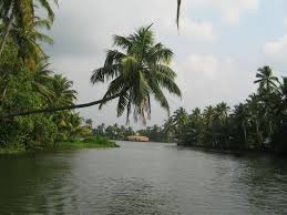 Image result for top 10 places in palakkad