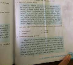 Berikut ini contoh penggunaan kata kata homonim tadi dalam kalimat : Tolong Bantuannya Untuk No 5 Dan 6makasih Lanjutan Soal No 6kalimat Persuasi Yang Tepat Untuk Brainly Co Id