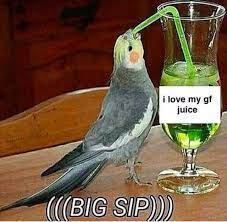 Dopl3r Com Memes I Love My Gf Juice