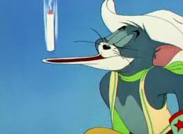Check spelling or type a new query. Tom And Jerry Gifs Tom And Jerry Cartoon Tom And Jerry Pictures Tom And Jerry