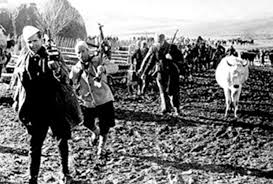 Anamorava Dha 8 000 Deshmore E Te Vrare 1943 1945 Me Shume Se Cdo Rajon I Kosoves Disa Nga Emrat E Tyre 2lonline
