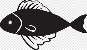Gambar ikan hitam putih infoikan.com ikan adalah anggota vertebrata poikilotermic (berdarah dingin) yang hidup di air dan bernapas dengan insang. Lukisan Ikan Stroke Warna Clownfish Hitam Hitam Dan Putih Line Hitam Hitam Dan Putih Ikan Badut Png Pngwing