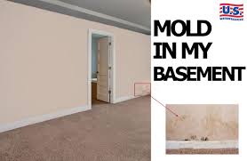Removing mold from tile, stone, concrete, and cement. 3 Ways To Determine If Your Finished Basement Has U S Waterproofing