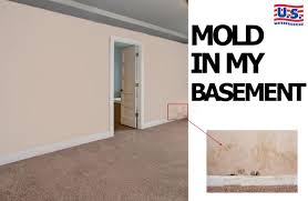 Prolonged exposure to indoor molds such as those found in a basement may lead to upper respiratory tract infections such as coughs, wheezing and asthma symptoms. 3 Ways To Determine If Your Finished Basement Has U S Waterproofing