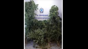 Σύμφωνα με πληροφορίες του eviakosmos.gr, ο 61χρονος είχε πάει για μπάνιο. Eyboia Zoym Sta Nea Ths Eyboias Eidhseis Eviathema Gr