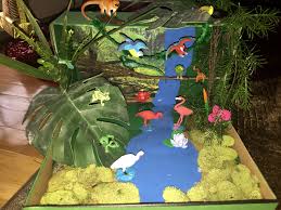 Tropical Rainforest Biome In A Box Tropical Rainforest Diorama Rainforest Habitat Diorama Rainforest