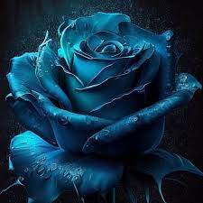 Blue rose tarot